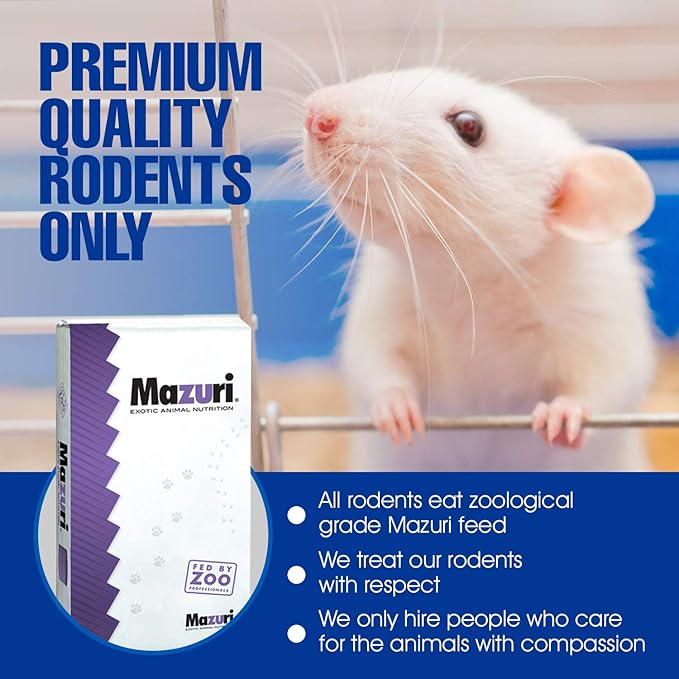 MiceDirect EST. 2003 40 Frozen Mice Weanling Feeders Snake Food for Juvenile Red Tail Boas Ball Python Adult Milk Snakes Corn Sand Boa (2-2.5 in) (520 Grams Min)