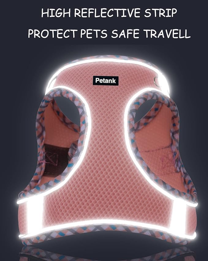 Petank Dog Harness for Small Medium Dogs No Pull, Puppy Harness and Leash Set, Step in Dog Harness for Walking, Running, Training, Small Dog Vest, Medium Dog Vest (Bule, XS)