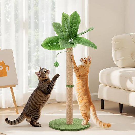 Cat Scratching Post 33 Inch, Cat Tree with Dangling Ball for Indoor Cats and Kittens, Green