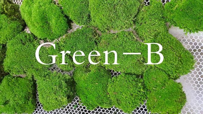 Preserved Pole Moss Pillow Bun Cushion Natural Green Decorative Real Natural Green DIY Kit Terrariums Gardenning Art Wall Decor Florist Decor Easter Table Decor Wedding(9.0 sq.ft., Green-B)