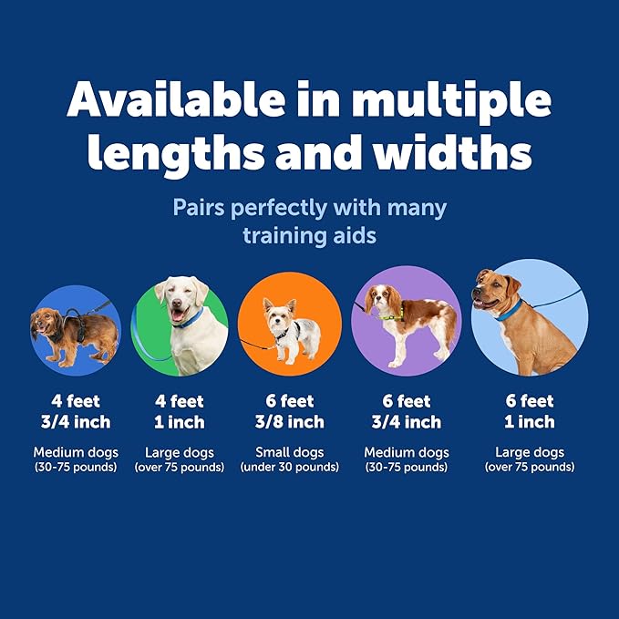 PetSafe Nylon Leash - Helps Maintain Secure Connection on Walks - Durable Pet Leash with Easy Clip - 1 in. x 6 ft. - Royal Blue
