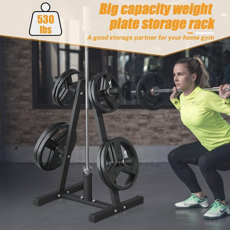 Weight Plate Rack, Bongkim Weight Tree and Weight Rack for Plates, Weight Holder for 2 inch Olympic Weight Plate, Weight Plate Storage for Home Gym