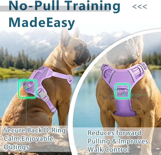 BARKBAY Dog Harness No Pull with ID Tag Pocket - Heavy Duty, Reflective, Easy Control for Large Dogs(Violet Purple,XL)