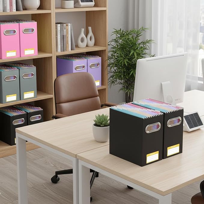 BALEINE File Organizer Box, Cardboard File Folder Organizer with Handle for Letter Size, Portable Collapsible Hanging Filing Box for Home Office Document Storage (4 Pack, Black+White)