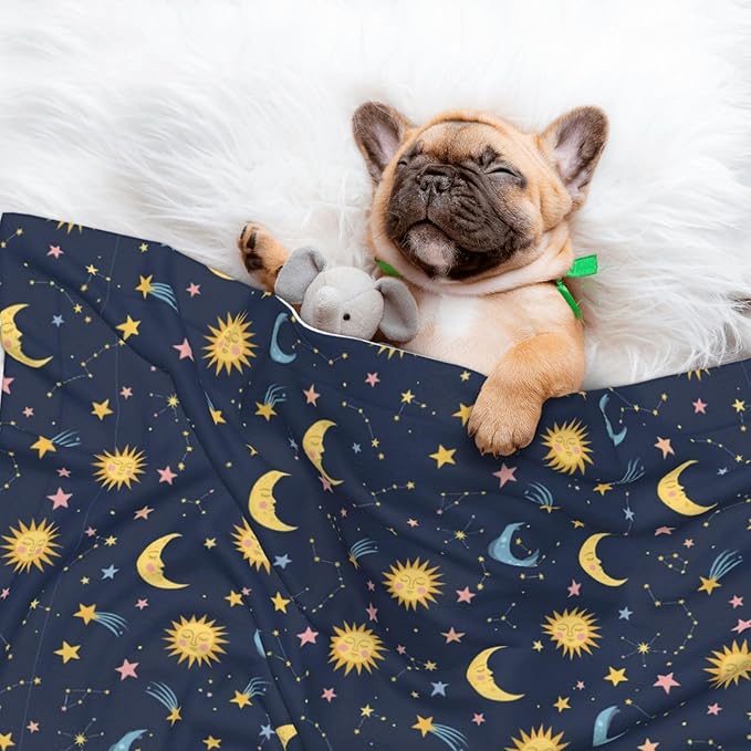 Double Sided Plush Pet Blanket with Cozy Dot Texture and Smooth Reverse, Colorful Stars, Reversible Throw for Dogs Cats on Couches Beds Crates