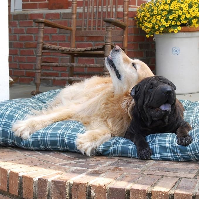 Carolina Pet Blue Plaid Shebang Rectangle Indoor/Outdoor Bed M