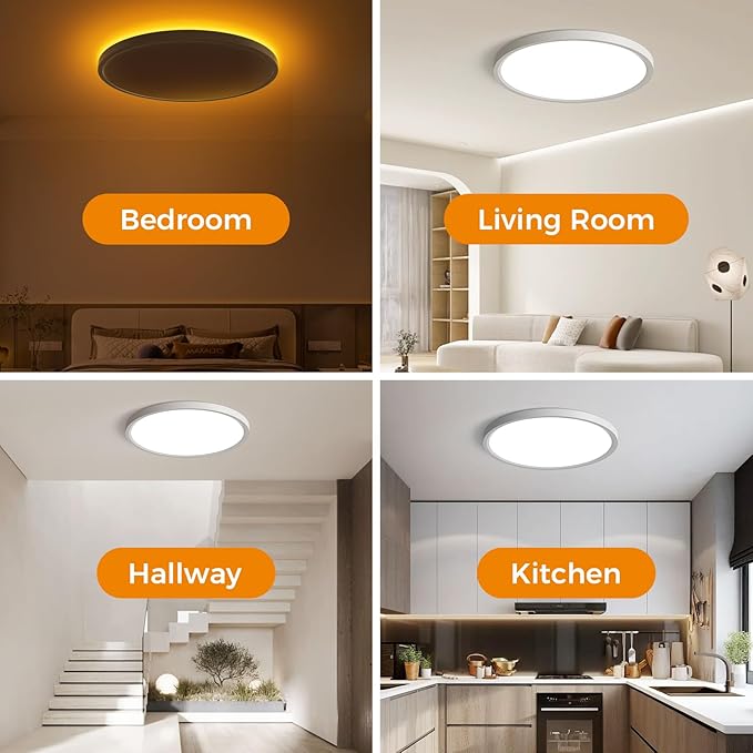 Flush Mount Ceiling Light with Nightlight 12inch,24W 2400LM Dimmable LED Ceiling Lights with Remote & APP Control, 2700K-6000K Adjustable,Perfect for Bedroom/Living Room/Kitchen,Round White (1)