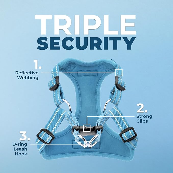 Best Pet Supplies Voyager Adjustable Step-In Flex Breathable Mesh Dog Harness for Small Medium Large Dogs (Baby Blue), XL