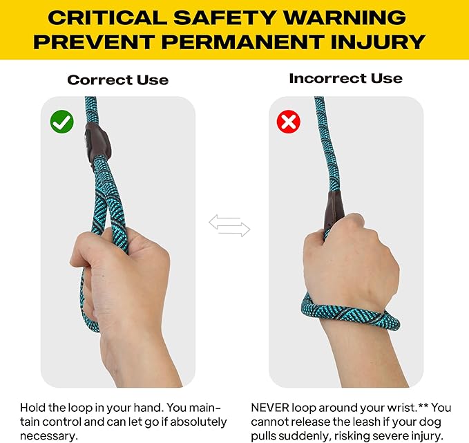 Fida Durable Slip Lead Dog Leash, 6 FT x 3/8" Heavy Duty Comfortable Strong Rope Slip Lead for Small Dogs and Puppies, No Pull Pet Training Lead with Highly Reflective(3/8", Blue)