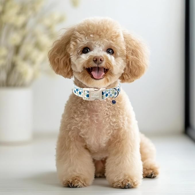 Spring/Summer Dog Collar for Large Dogs - Fresh Blueberry Girl Boy Dog Collars, Soft Lightweight Puppy Collar, Breathable Adjustable Male Female Fruit Floral Dogs Collars L