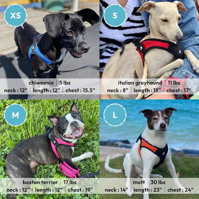 Gooby Escape Free Easy Fit Harness - Turquoise, Large - No Pull Step-in Patented Small Dog Harness with Quick Release Buckle - Perfect On The Go No Pull Harness for Small Dogs or Medium Dog Harness