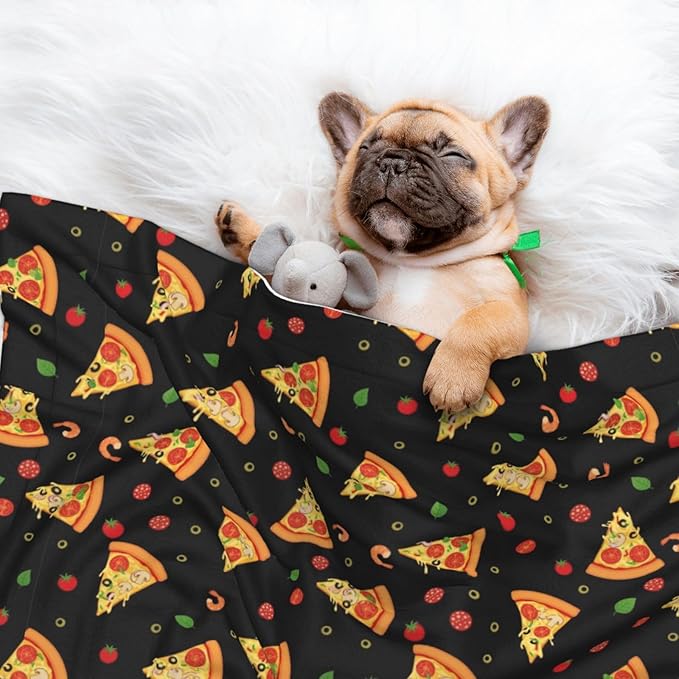 Reversible Dog Blanket for Beds Couches, Cartoon Pizza Slices, Double Sided Cat Blanket with Textured Dot Feel and Smooth Feel for Seasonal Comfort All Year