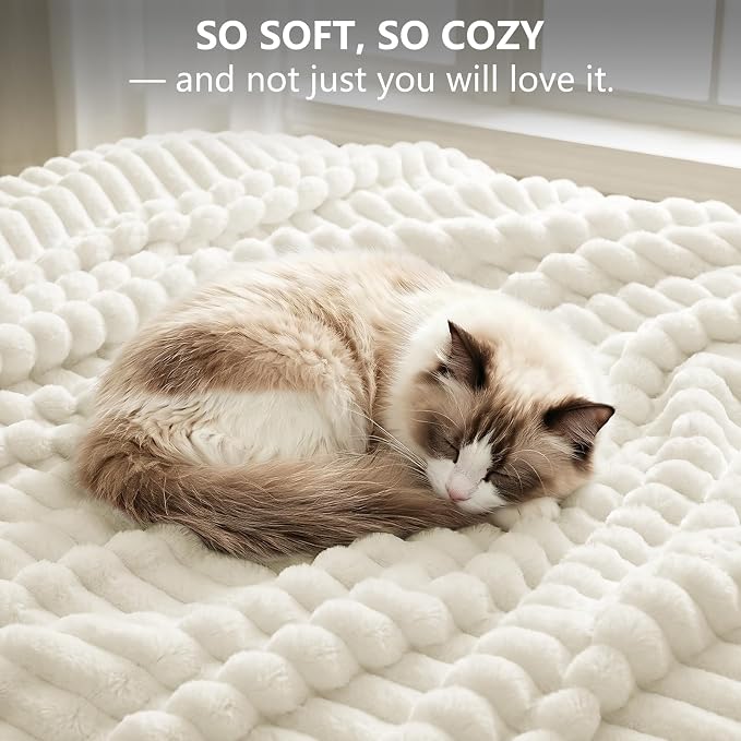 Cream White Twin Blanket for Bed & Couch, 60 x 80 Inch | 300GSM Ribbed Fleece Blanket, Soft, Cozy & Lightweight, OEKO-TEX Certified, All-Season Use for Travel, Dorm & Home Decor