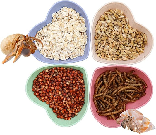 4 Pack Hermit Crab Plastic Food Dish, Hermit Crab Food & Water Bowl, Mini Food Dish Kit, Suitable for Hermit Crab Tarantula Snail