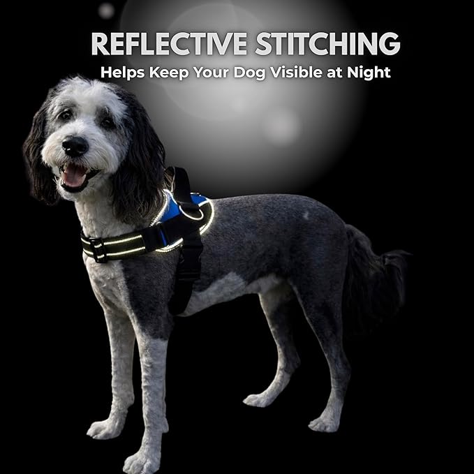 ShawnCo Essential Dog Harness, No-Pull Pet Vest with 3 Leash Clips, No Choke, Reflective, Adjustable and Padded, for Easy Walking and Training for Small, Medium and Large Dogs (Freckle's Garden, XS)
