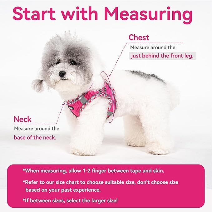 Petank Dog Harness for Small Medium Dogs No Pull, Puppy Harness and Leash Set for Walking, Running, Training, Small Dog Harness, Medium Dog Harness (Rose Red, XXS)