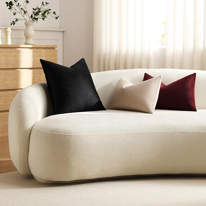 Throw Pillow Covers 16x16 Black: Pack of 2 Cozy Soft Velvet Square Modern Luxury Decorative Throw Pillow Cases for Sofa Couch Living Room Bed Home Decor