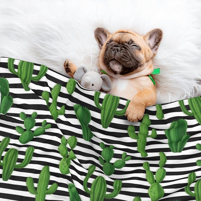 Two Sided Pet Cuddler Blanket for Anxiety Calming, Cactus and Stripes, Reversible Plush Design with Bubble Dot Pattern Provides Familiar Surface Anywhere