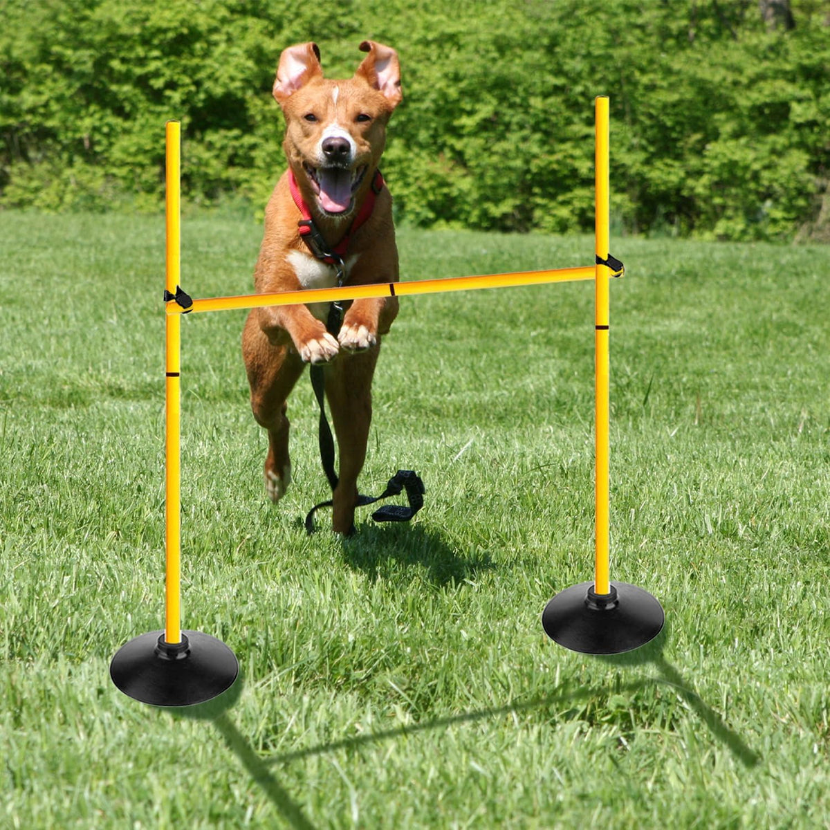 Skiennix Adjustable Height Agility Hurdle Set - Multi-Function Soccer Training Poles with Rubber Base