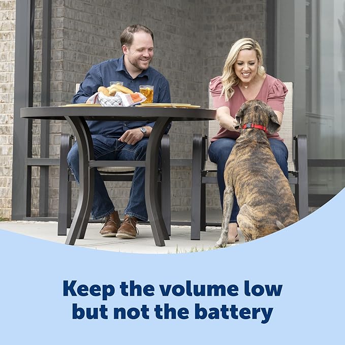 PetSafe Basic Bark Control Collar - Effective & Accurate Bark Detection Collar - Safe & Reliable Training with Multiple Static Stimulation Levels - Waterproof & Battery-Operated