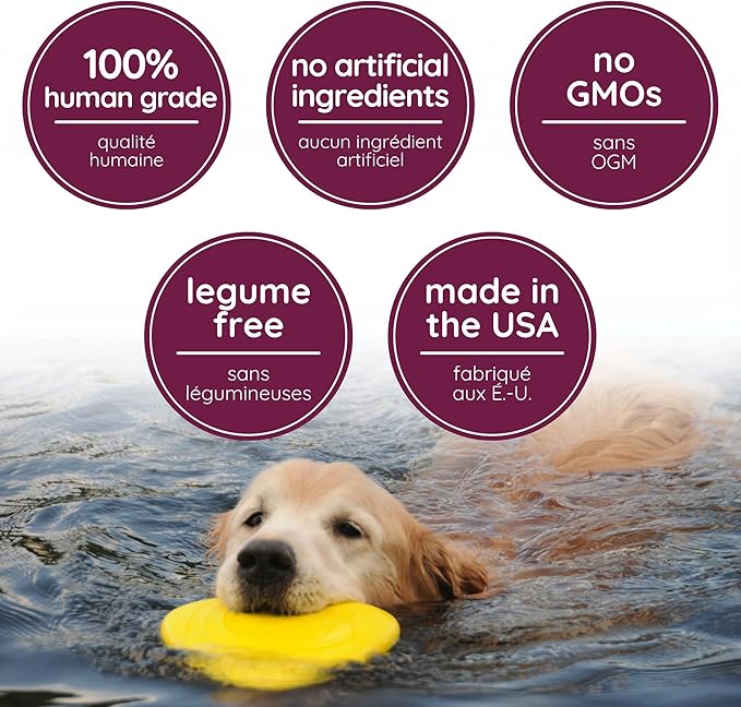 Caru - Goat’s Milk, Banana & Blueberry Baked Cookies - Natural Treats for Dogs - Human Grade Ingredients - Flavorful - Wheat, Corn, Soy & Legume Free - Non-GMO - Made in USA - 4 oz - 1 Pack