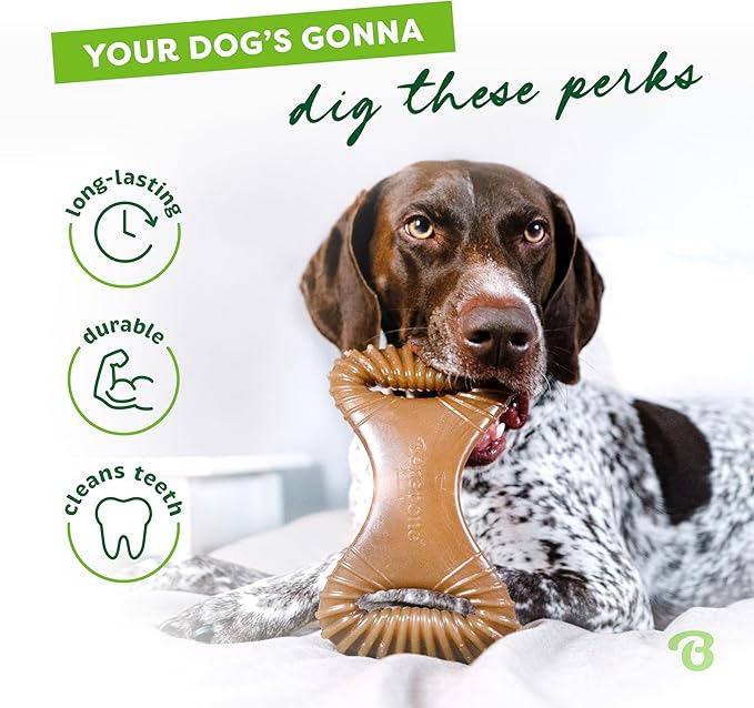 Benebone Dental Durable Dog Chew Toy for Aggressive Chewers, Real Chicken, Made in USA, Large