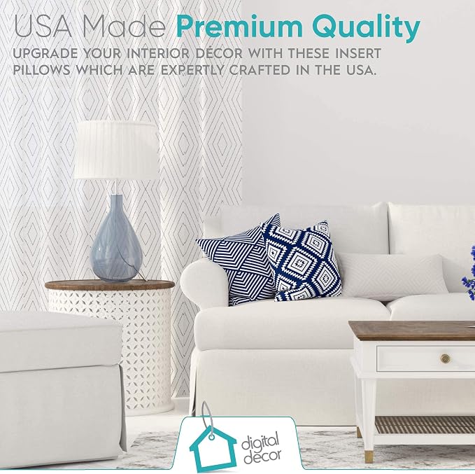 Digital Decor Decorative Throw Pillow Inserts 22x22 Set of 2, Premium Down Alternative Hypoallergenic Pillow Forms for Couch, Sofa & Bed, Made in USA Square Cushion Inserts, White