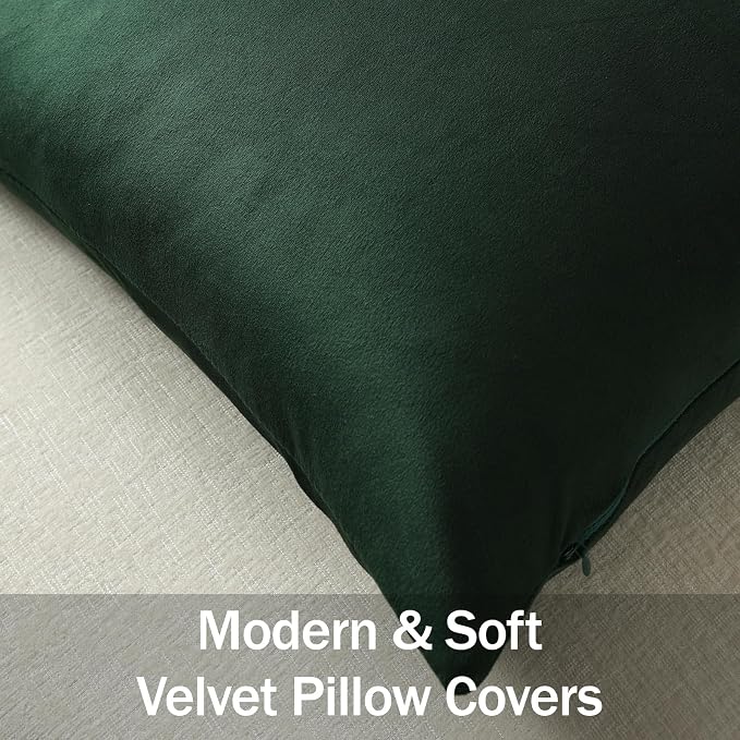 Lumbar Pillow Covers 12x20 Dark Green: Pack of 2 Cozy Soft Velvet Rectangular Modern Luxury Decorative Throw Pillow Cases for Sofa Couch Living Room Bed Home Decor