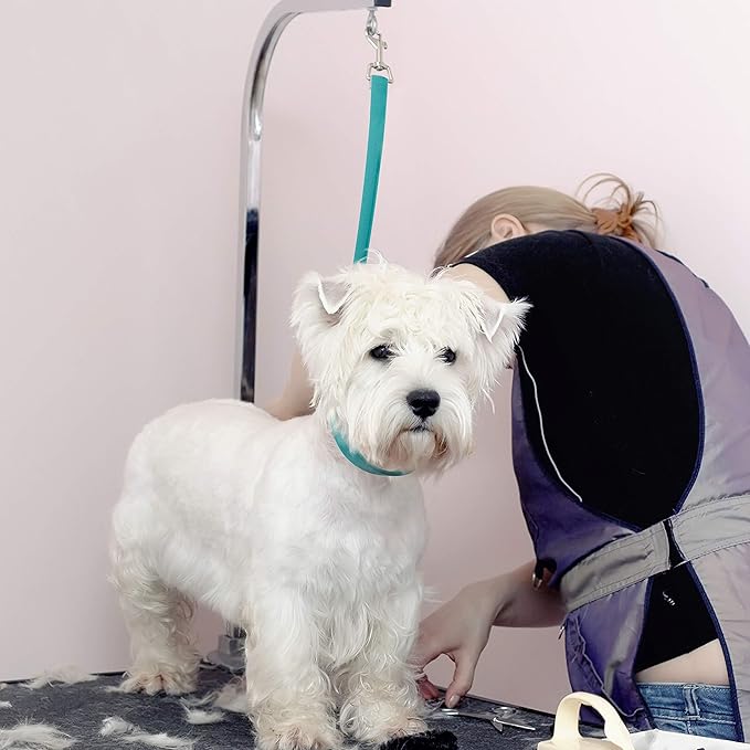 Jelly Pet Grooming Loop Slip Style (3/8" x 25", Lime Green) | Made in The USA