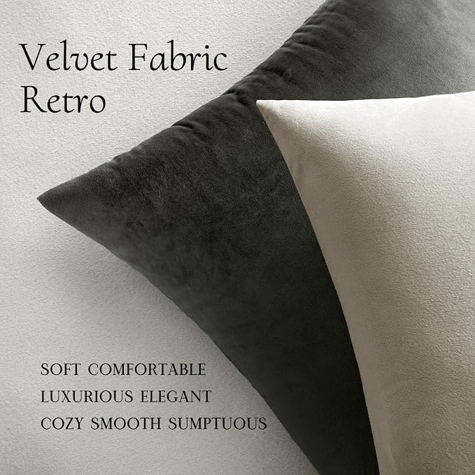 MIULEE Velvet Throw Pillow Covers 20x20 Inch Pack of 2 Cream White | Soft Solid Decorative Pillow Covers, Modern Luxury Home Decor, for Couch Chair Sofa Bedroom Livingroom