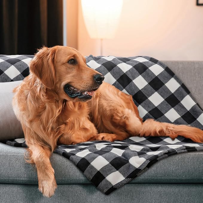 BEDELITE Plaid Fleece Throw Blanket, Black & White Buffalo 50x60 Throw | 100% Polyester Microfibe, Soft Cozy, Lightweight Warm, Classic Buffalo Plaid, Room Decor, Machine Washable, for Couch Bed