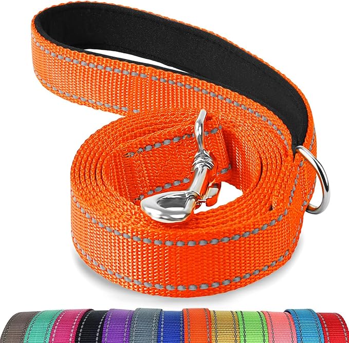 Joytale Dog Leash, 5 FT Double-Sided Reflective, Padded Handle Nylon Heavy Duty Leashes for Medium & Large Dogs Walking, Orange