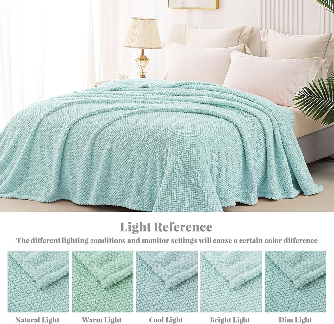 Whale Flotilla Soft Fleece Queen Size Bed Blanket, Light Blue | 90x90 Inch, Suitable for Bed, Fluffy Fuzzy Jacquard Blankets for All Season, Lightweight and Cozy