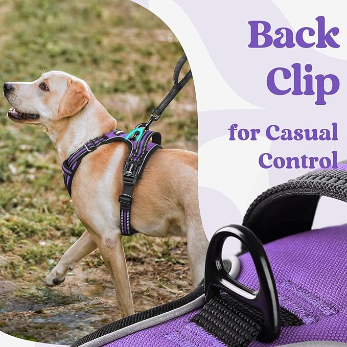 rabbitgoo Dog Harness Small Sized, No Pull Pet Harness with 3 Buckles, Adjustable Soft Padded Vest with Control Handle, Walking Reflective Pet Vest for Small Dogs, Purple, S