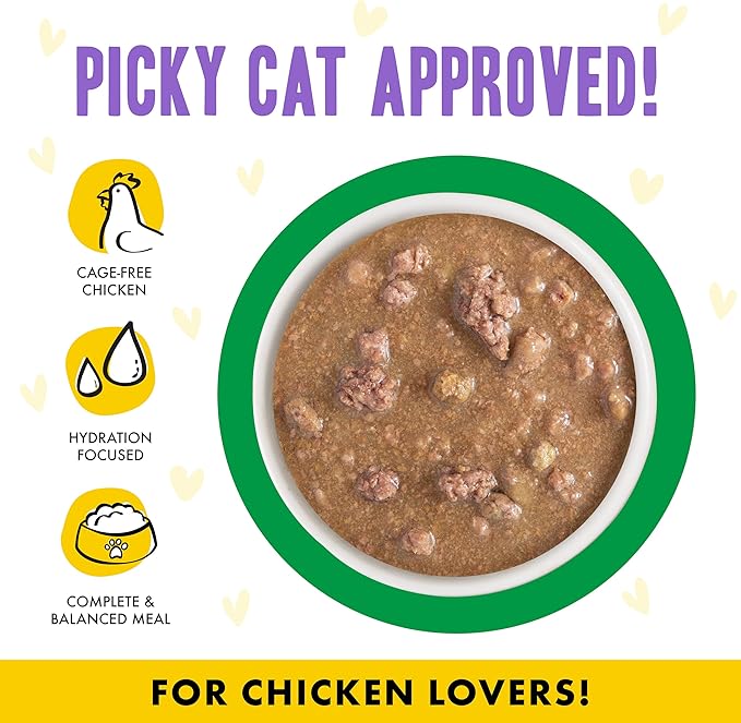 Weruva B.F.F. OMG - Best Feline Friend Oh My Gravy!, Chicken & Lamb Live N' Love with Chicken & Lamb in Gravy, 2.8oz Can (Pack of 12)