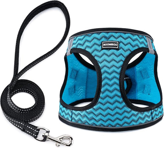 BOOMIBOO Dog Harness with Leash Set, No Pull Adjustable Reflective Step-in Puppy Pet Vest Harnesses for Small Medium Large Dogs and Cats,Blue Stripe L