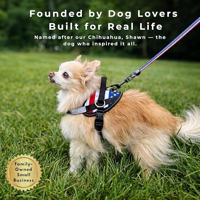 ShawnCo Essential Dog Harness, No-Pull Pet Vest with 3 Leash Clips, No Choke, Reflective, Adjustable and Padded, for Easy Walking and Training for Small, Medium and Large Dogs (Orchid, XL)