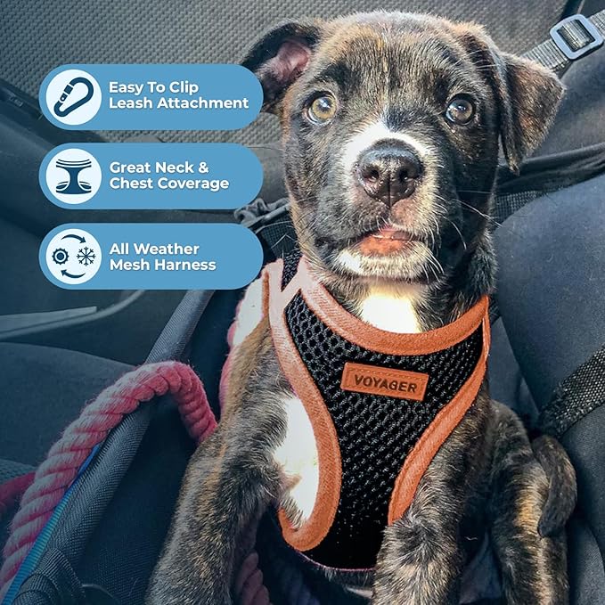 Best Pet Supplies - All Weather Mesh/Plush, Reflective, No Pull Harness for Small, Medium Dogs, Cats - Secure with Hook & Loop Fastener, Buckle, Double D-Rings - Black/Orange Trim, L