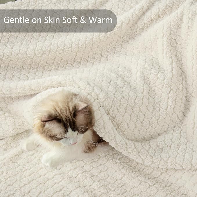 Exclusivo Mezcla Soft Fleece Queen Size Blanket for Bed, Ivory | Jacquard Lightweight Cozy Bed Blanket, Breathable Decorative Fuzzy Textured All Season Use, 90x90 Inches