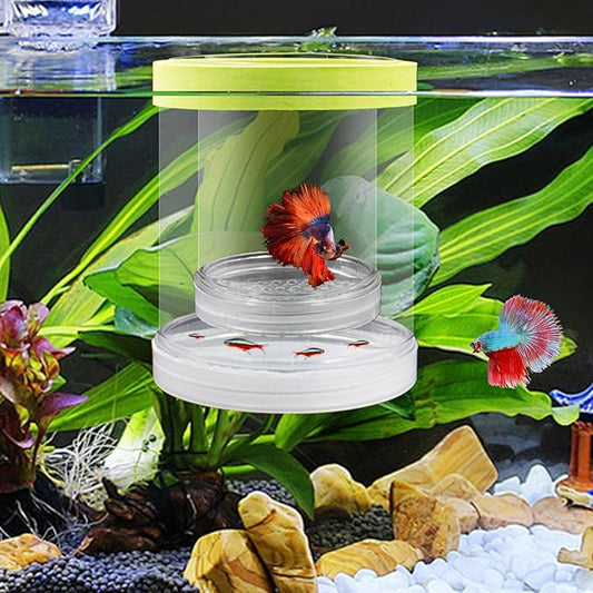 Breeder Box for Fish Tank, Plastic Floating Adjustable Mesh Isolation Hatchery Incubator Aquarium Divider for Small Baby Fish, Betta, Shrimp, Clownfish, Guppy (Green, Large)