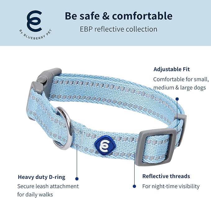 Blueberry Pet Dog Leash & Collar Set - Puppy Essentials, Gentle Leader for Dogs, Adjustable for Small Dogs, Reflective Safe Walking Gear, Fashion for Girl Dog Owners, Heavy Duty Leashes