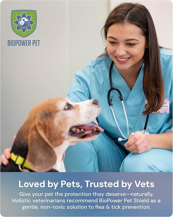 Natural Flea & Tick Repellent Collar Tag for Dogs & Cats – BioPower Pet Shield – Safe for Pets When Used as Directed – Lasts 1 Full Year - Regular Tag (3Pack)