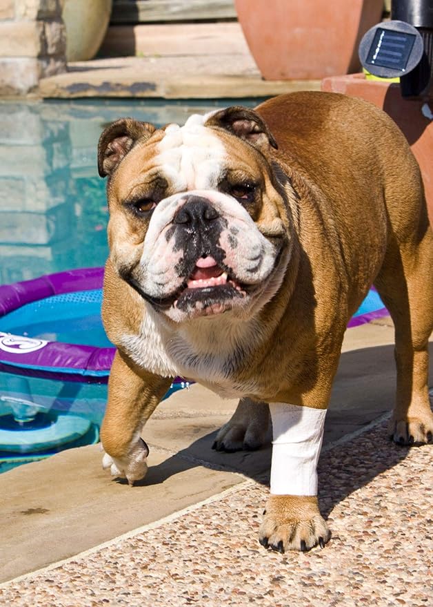 Protective Sleeve Tubular Cover - Bandages - for Dogs Cats and Other Pets First Aid Wound Care Comfortable Non-Adhesive Breathable & Water Resistant 18 Strips (yields 36-54 Covers)-(Medium)