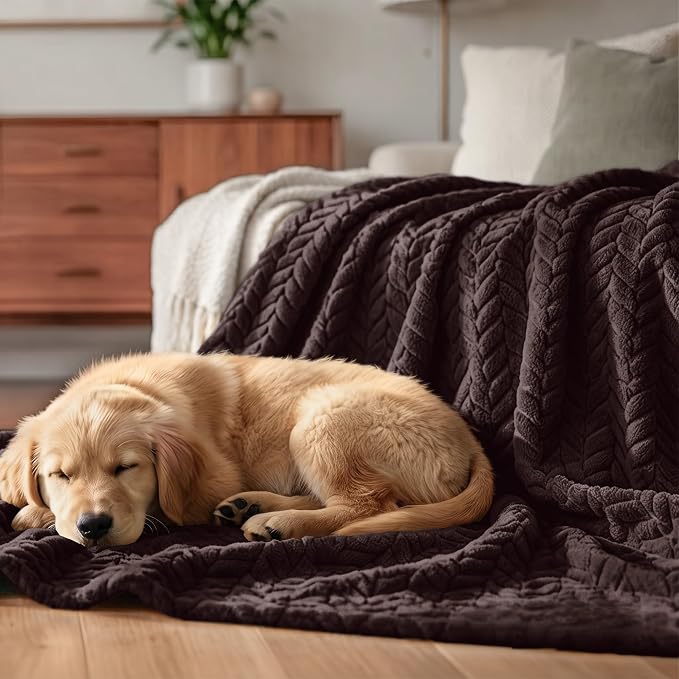 Exclusivo Mezcla Soft Fleece Bed Blanket Twin Size, 60”x80”, Coffee | Cozy Fluffy Lightweight Blankets for Summer, Decorative Plush Flannel Throws for Living room, Bedroom with Leaves Pattern