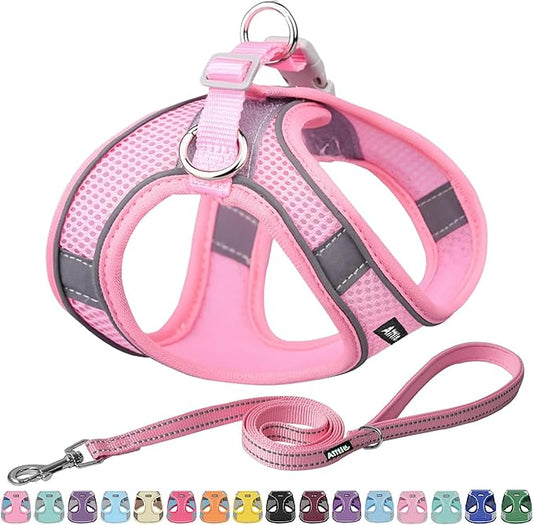 AIITLE Step in Dog Harness and Leash Set - No Pull Escape Proof Vest Harnesses with Soft Mesh and Reflective Bands, Adjustable Pet Outdoor Harnesses for Small and Medium Dogs Pure Pink M