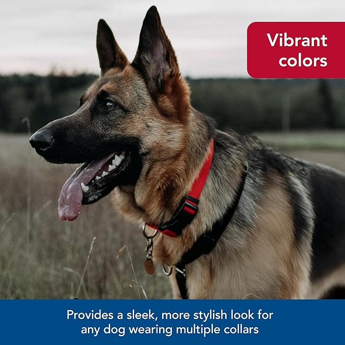 Coastal Pet SecureAway Collar Protector for Flea Collars - Adjustable pet Accessory - Protective Flea Collar for Dogs & Puppy - Multi Paws, 5/8" x 8-12"