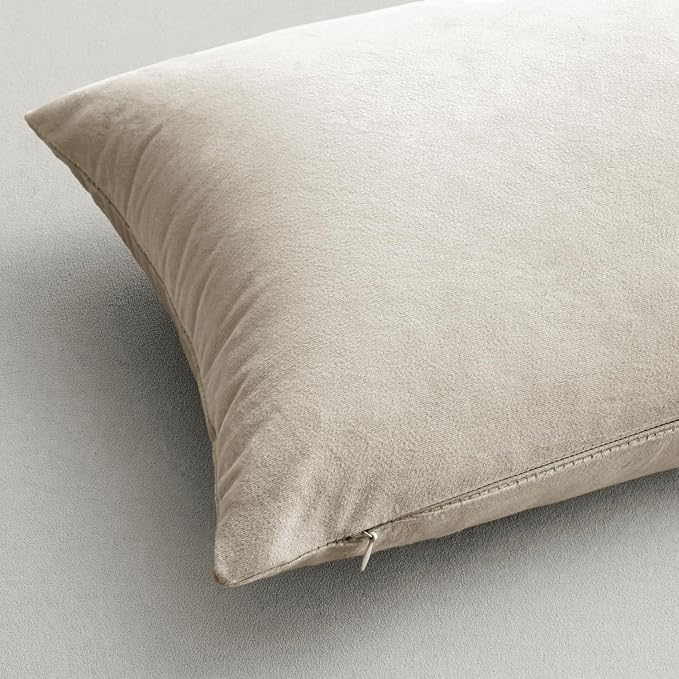 MIULEE Velvet Throw Pillow Covers 14x14 Inch Pack of 2 Cream White | Soft Solid Small Decorative Pillow Covers, Modern Luxury Home Decor, for Couch Chair Sofa Bedroom Livingroom Car