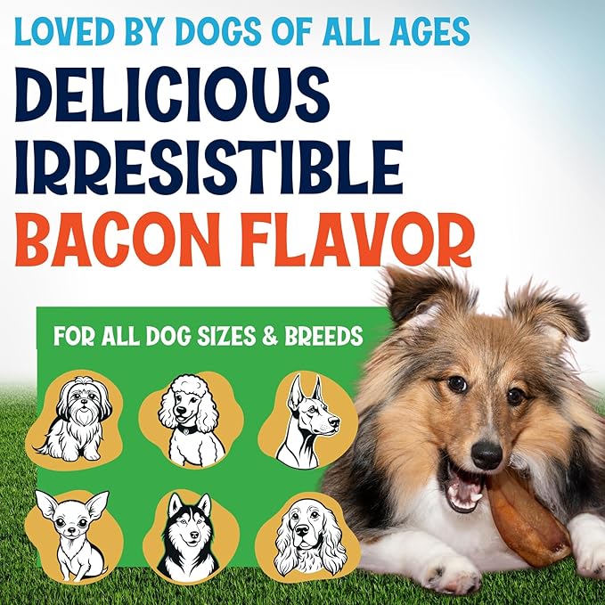 Whole Pig Ears for Dogs Large - 150 Pack Long Lasting Dog Chews – One Ingredient Delicious All Natural Flavor – Easy to Digest Dog Treats for Large Dogs - Great for Teeth and Gums