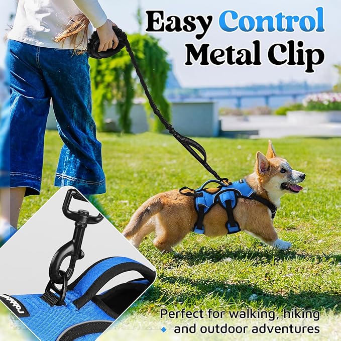 rabbitgoo Escape Proof Dog Harness, Soft Padded Full Body Pet Harness, Reflective Adjustable No Pull Vest with Lift Handle and Leash Clip for Large Dogs Walking Hiking Training, S, Blue