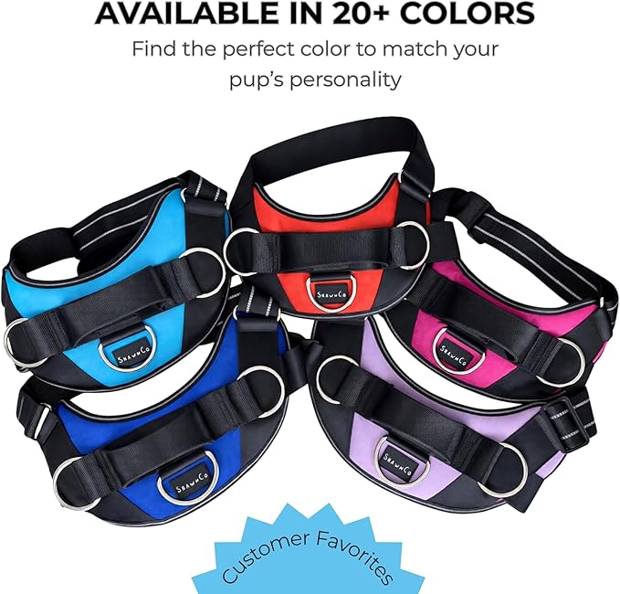 ShawnCo Essential Dog Harness, No-Pull Pet Vest with 3 Leash Clips, No Choke, Reflective, Adjustable and Padded, for Easy Walking and Training for Small, Medium and Large Dogs (White Sharks, S)